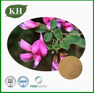 مستخلص ليسبيديزا كابيتاتا الطبيعي مع 0.2% 0.4% كيمبفريترين