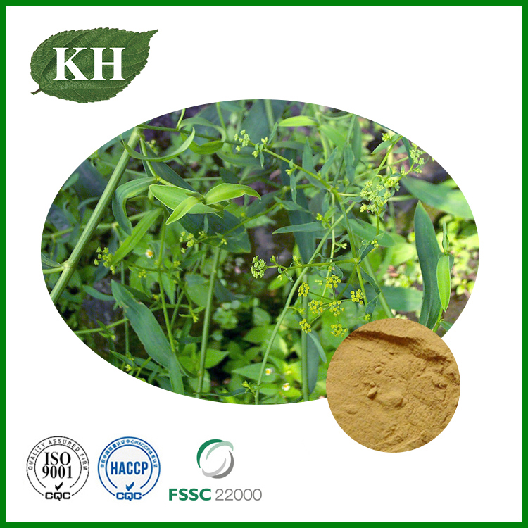 مستخلص bupleurum