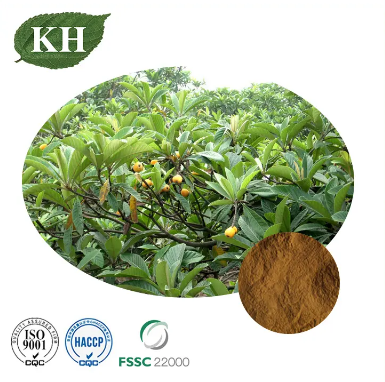 كيف يشبه طعم loquat؟