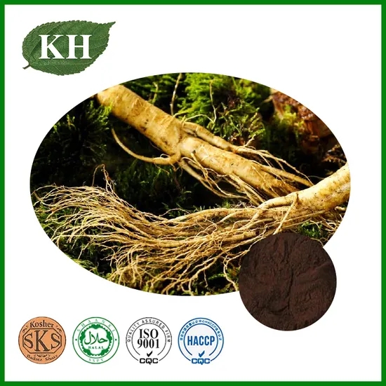 Panax Ginseng