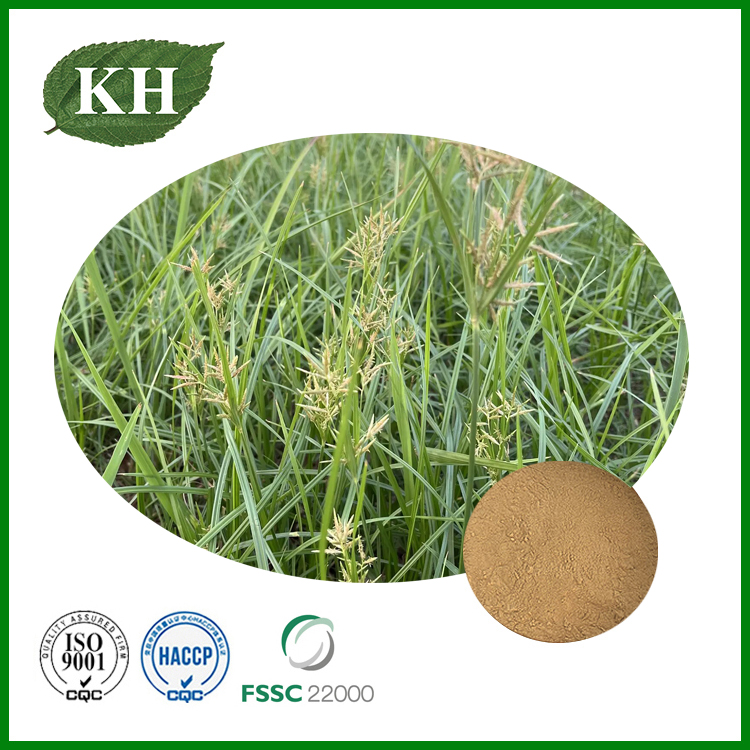 استخراج Cyperus rotundus