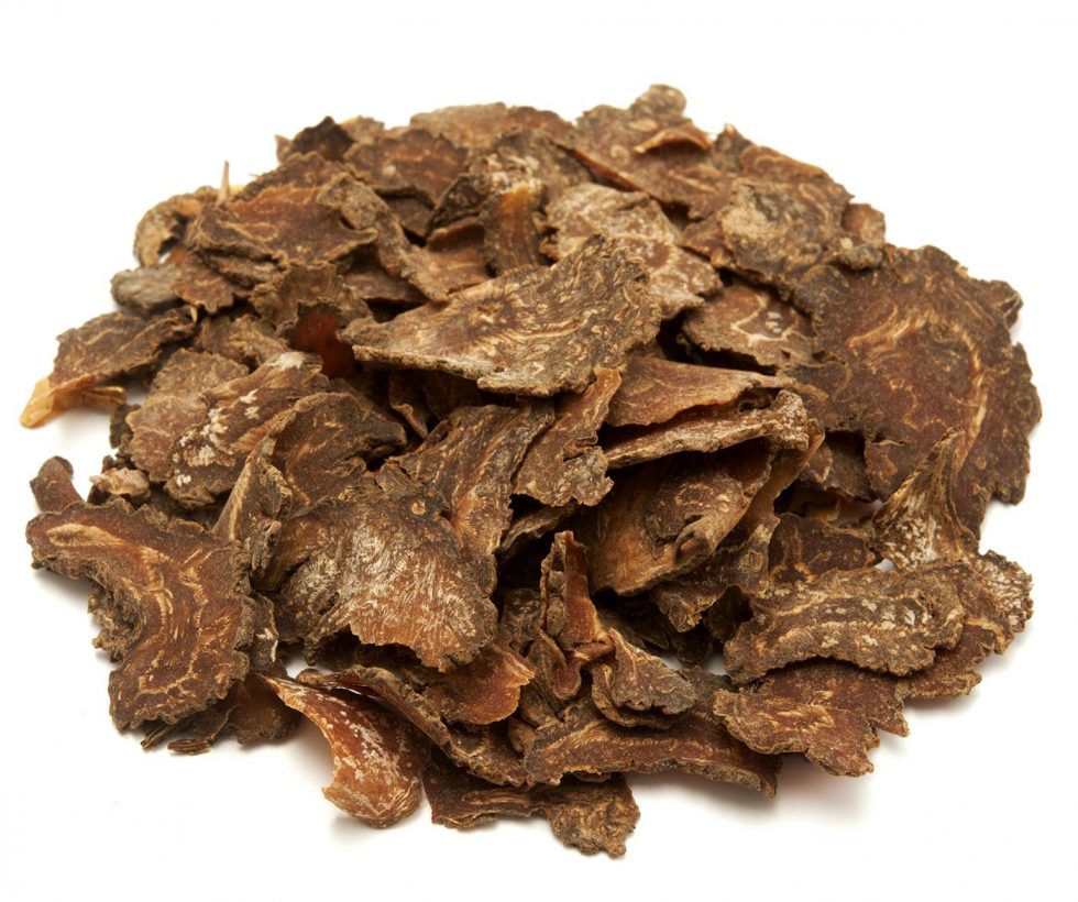 Ligusticum sinense السيرة الذاتية.تشوانكسيونج 